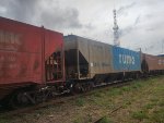 RUMO HPT-031229-1